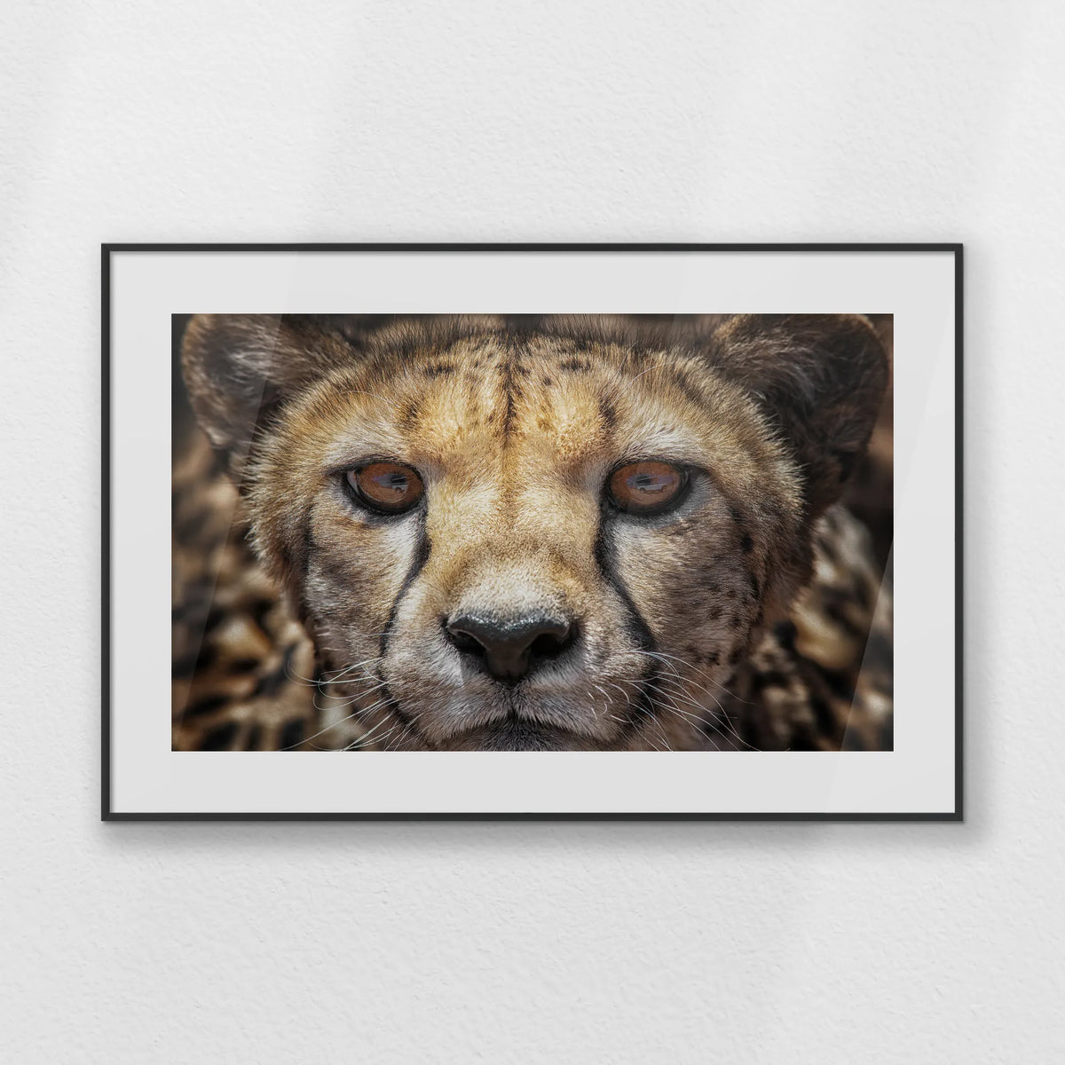 PBP093W062