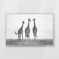 PS-100W070