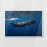 PS-093W062