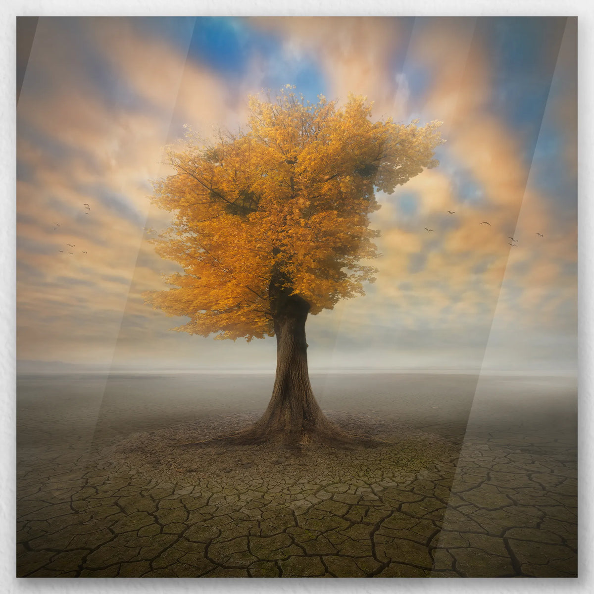 AC-040W040
