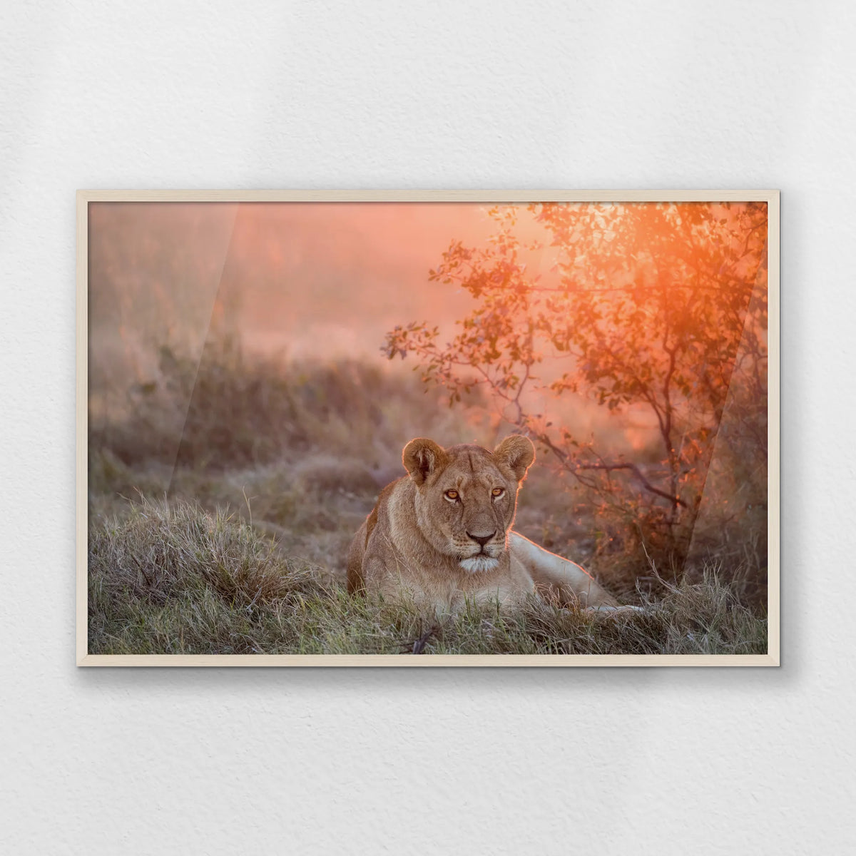 PN-100W070