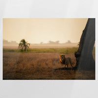 PO-120W080