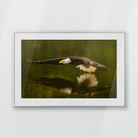 PSP100W070