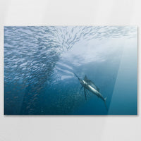 AC-090W060