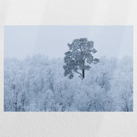 PO-030W020