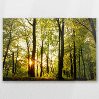 AL-030W020