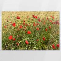 AC-075W050