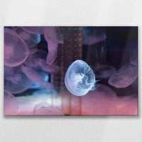 LW-075W050