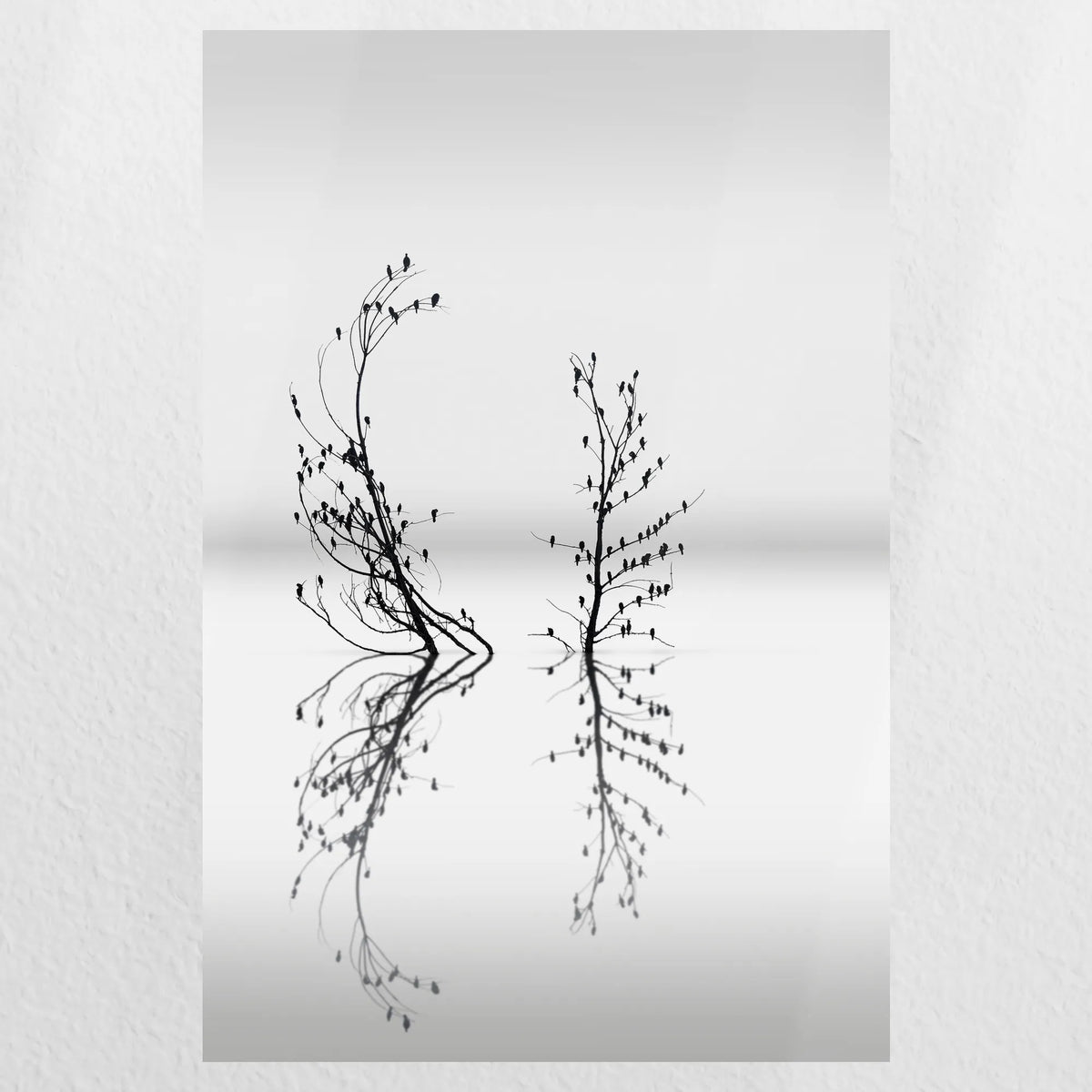 PO-030W045