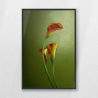 PB-040W060