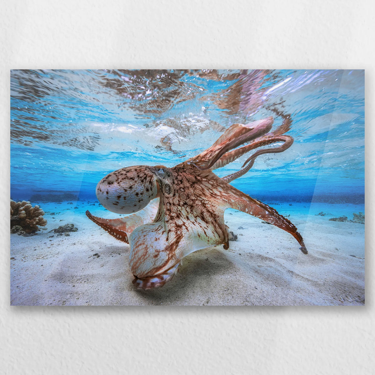 AC-045W030