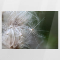 PO-075W050