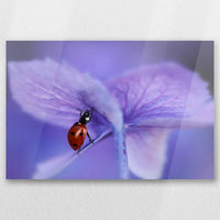AC-045W030