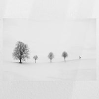 PO-045W030