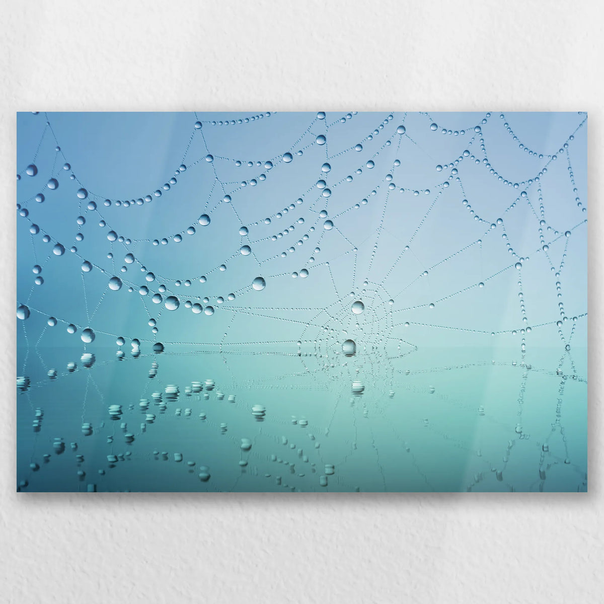AL-030W020