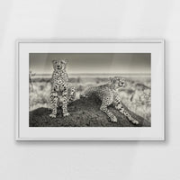 PWP093W062