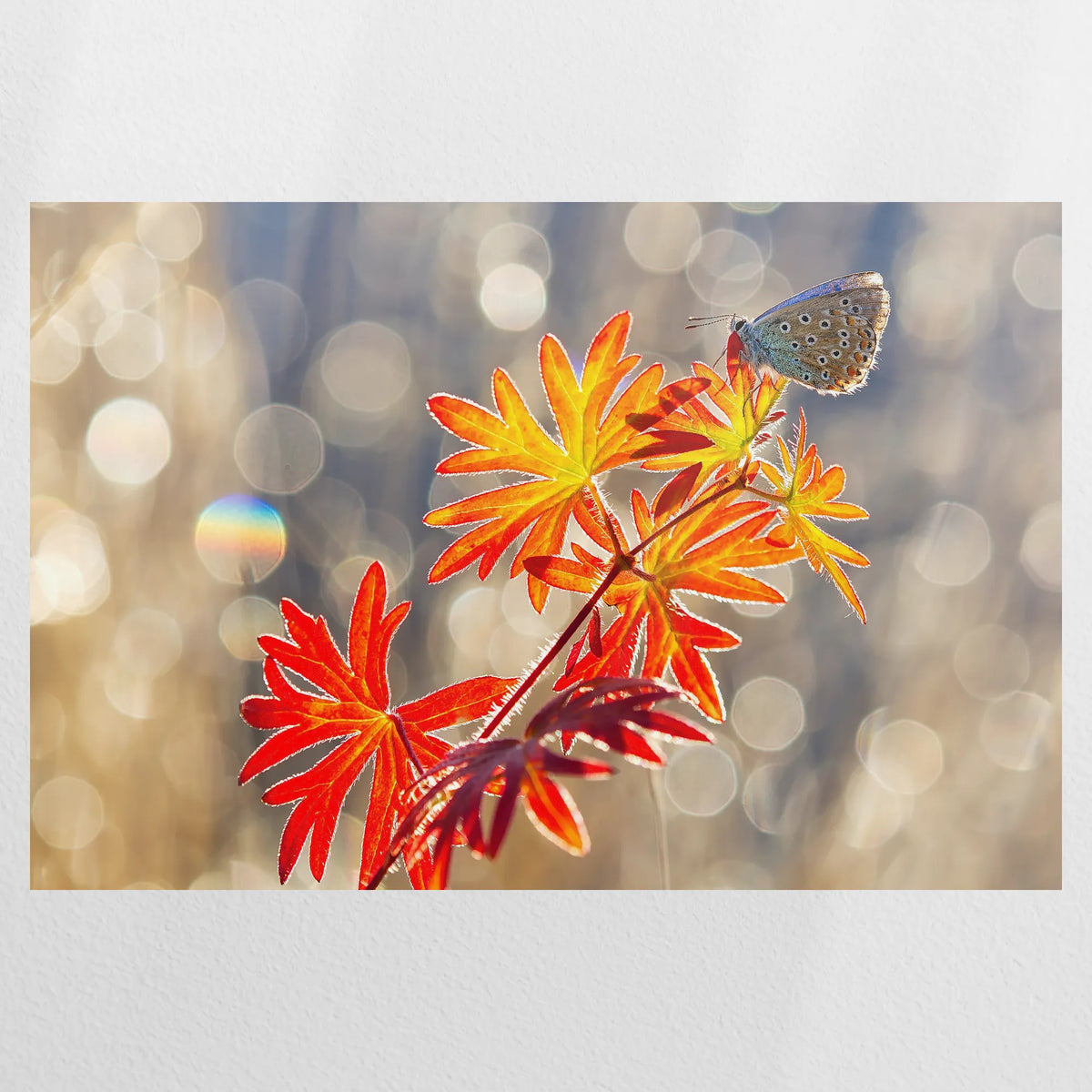 PO-120W080
