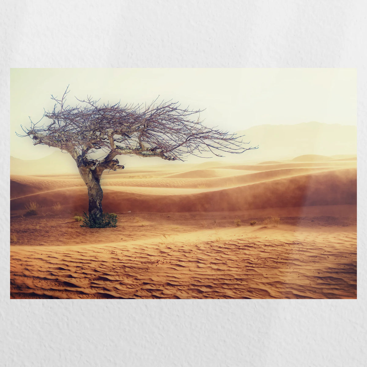 PO-060W040