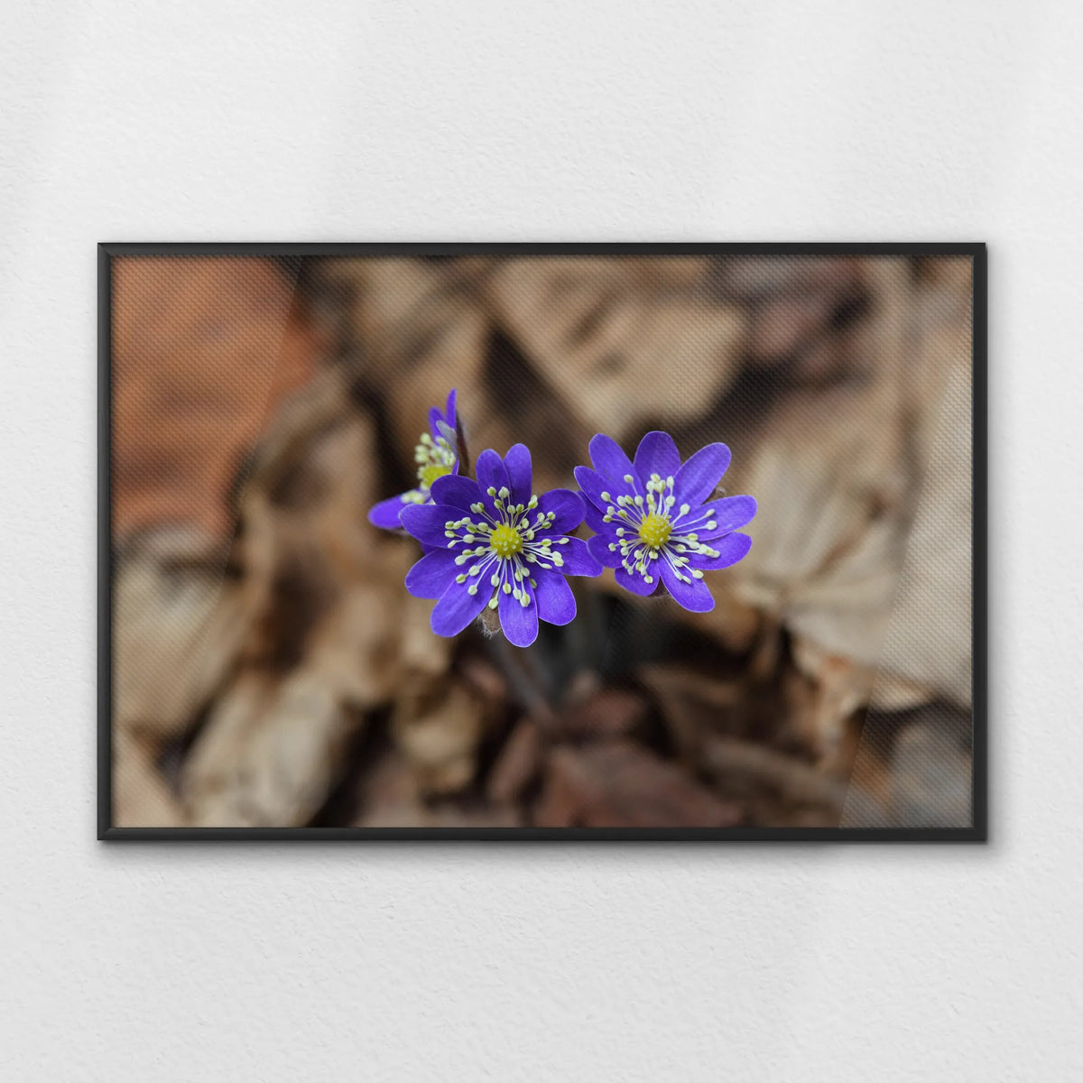 LWB120W080