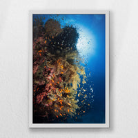 LWW040W060