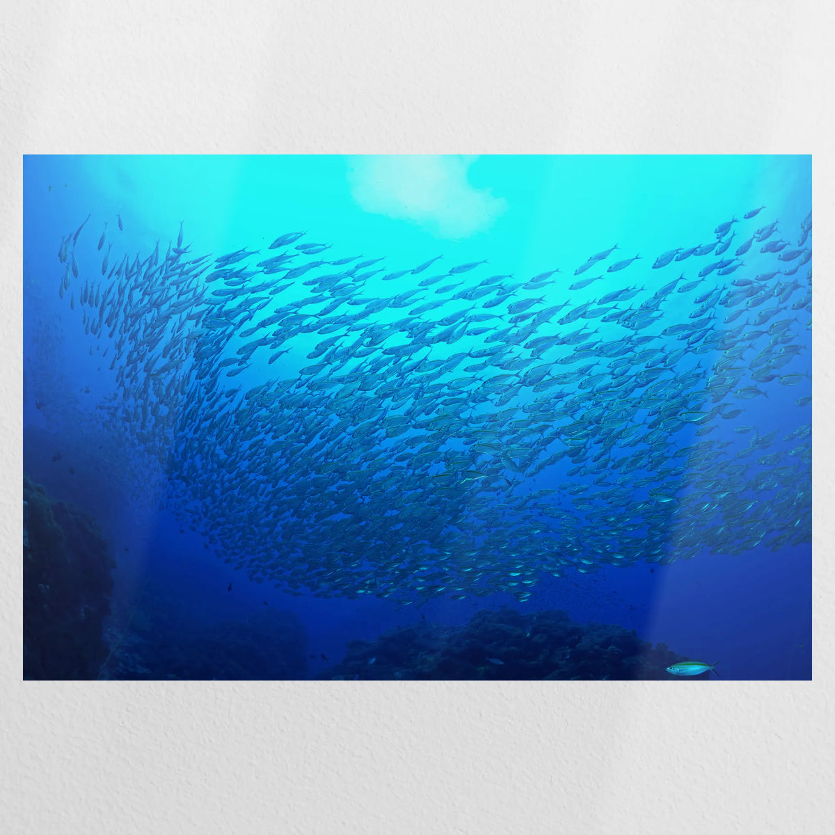PO-120W080
