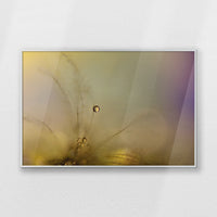 PS-093W062