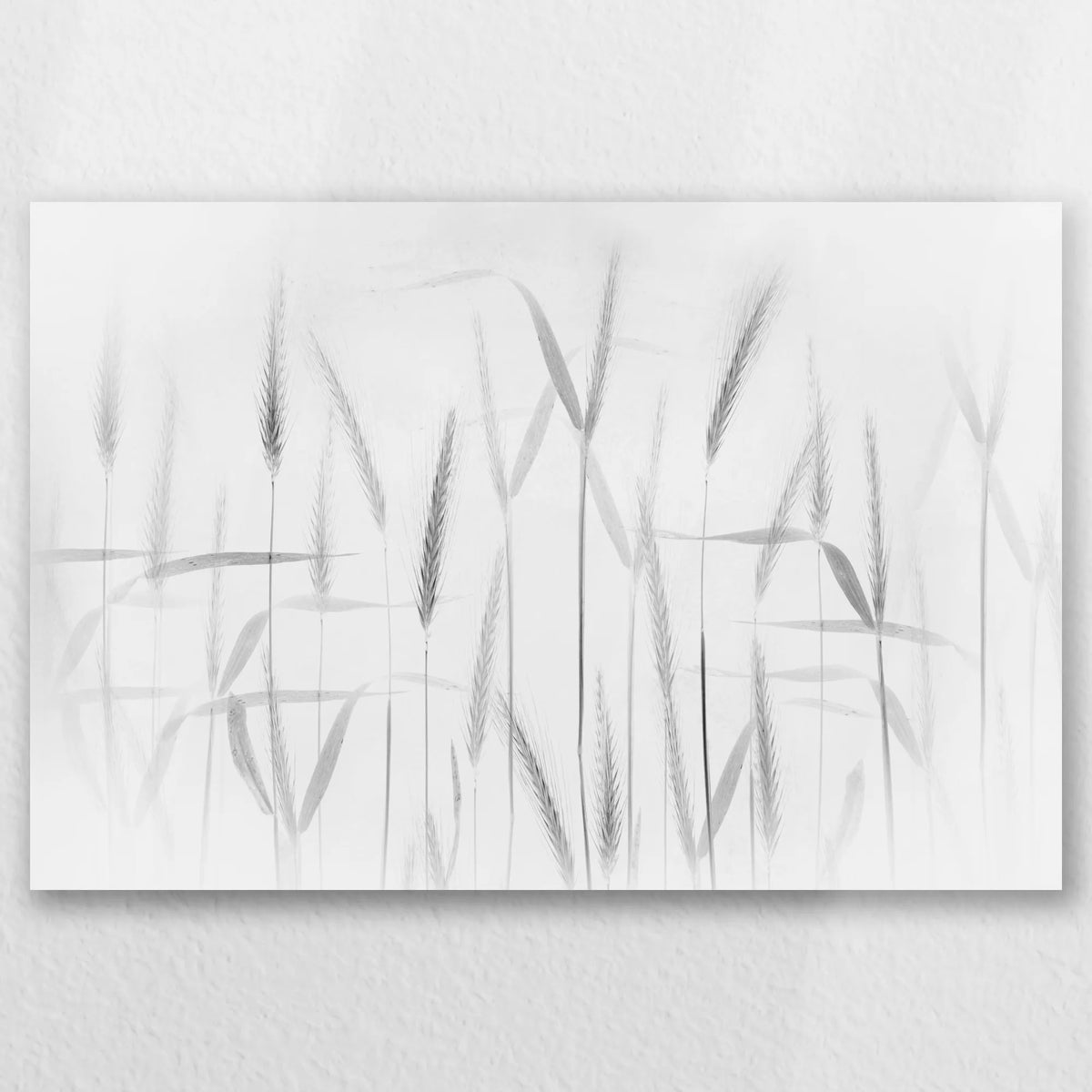 AC-060W040