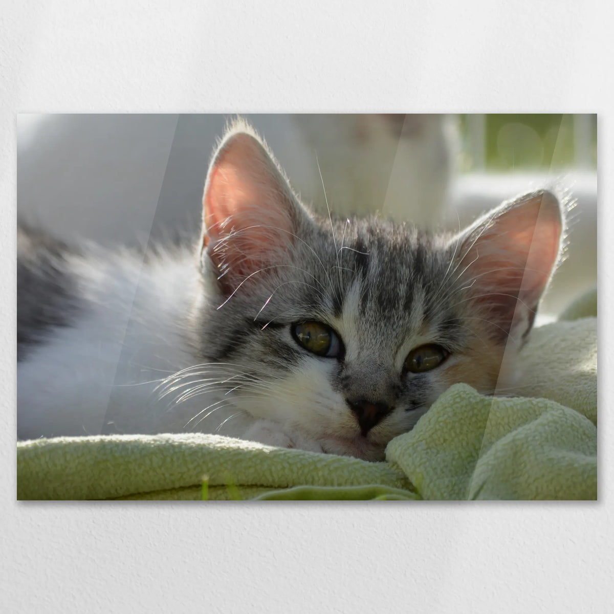 AC-120W080