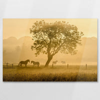 AL-075W050