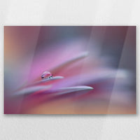 AL-030W020