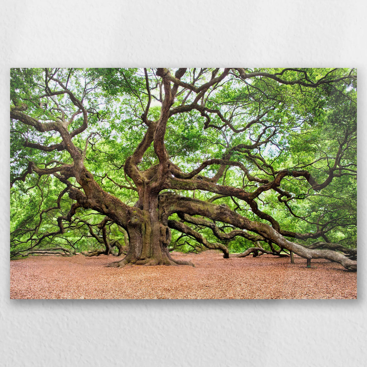 AC-060W040