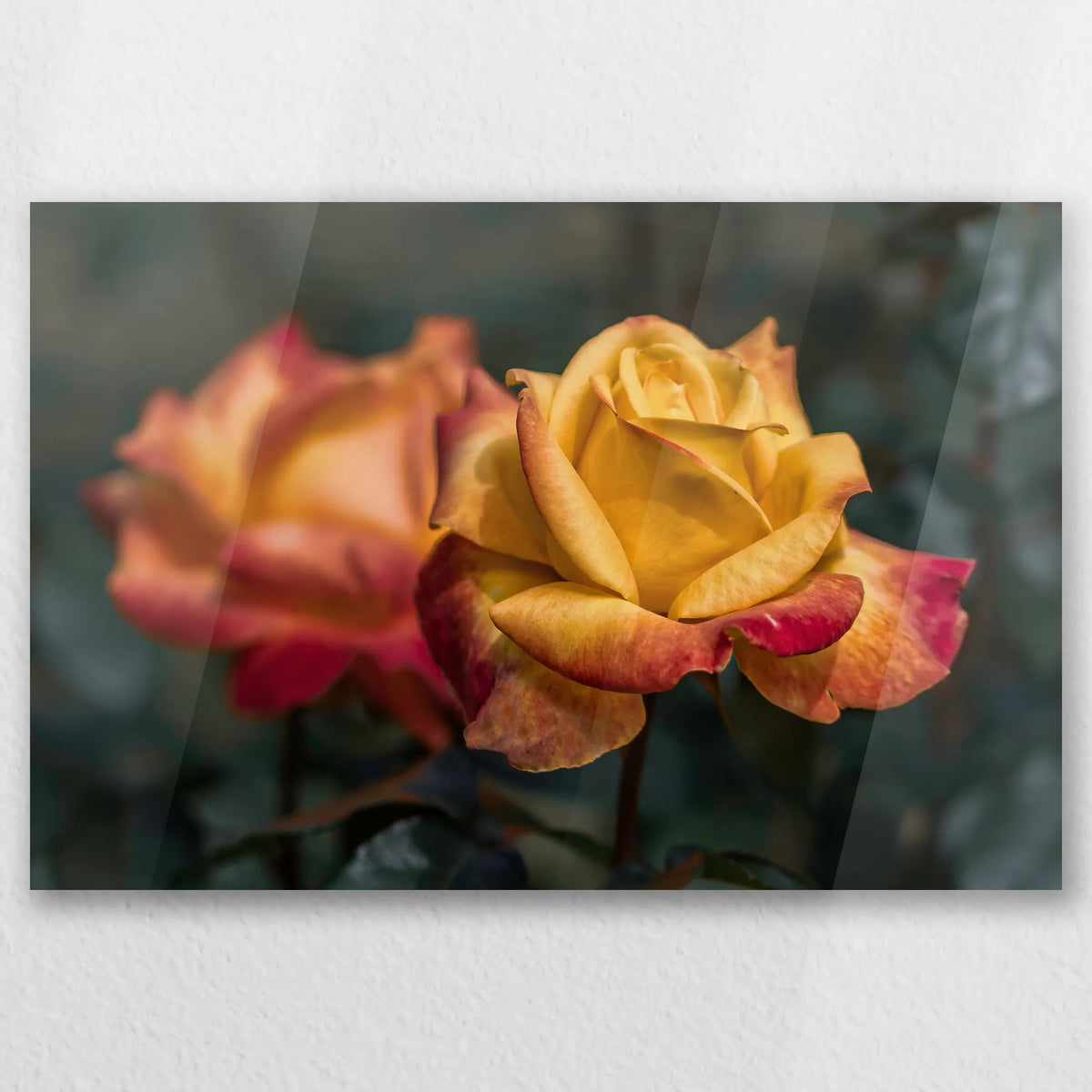 AC-045W030