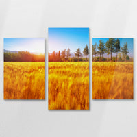 AC-090T060