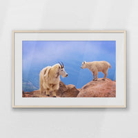 PNP093W062