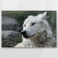 AC-045W030