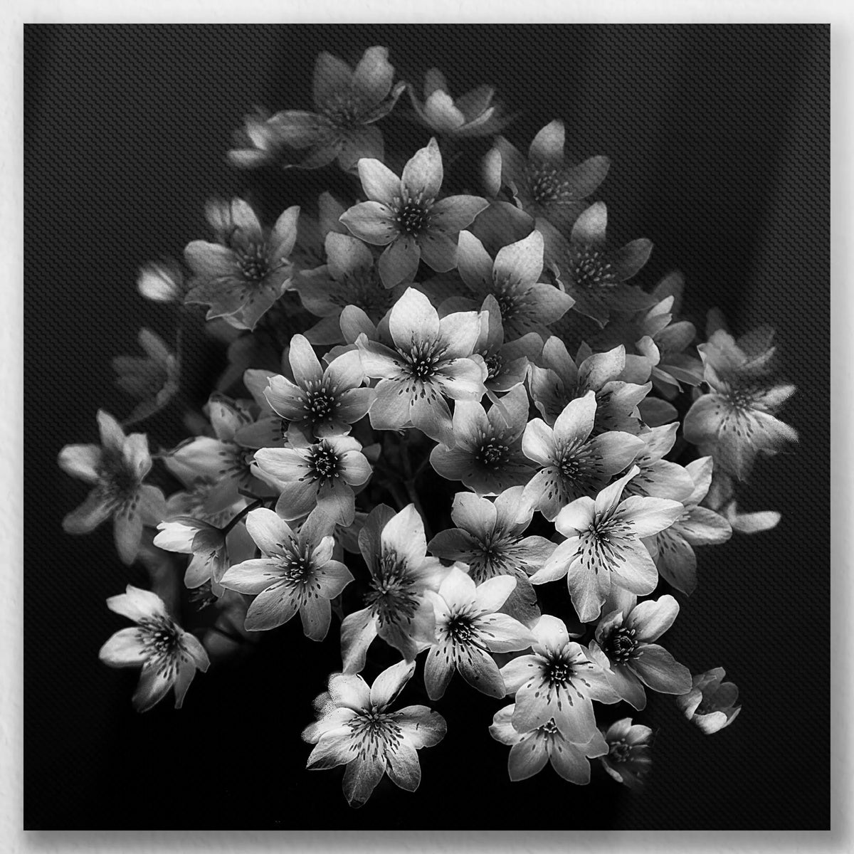 LW-030W030