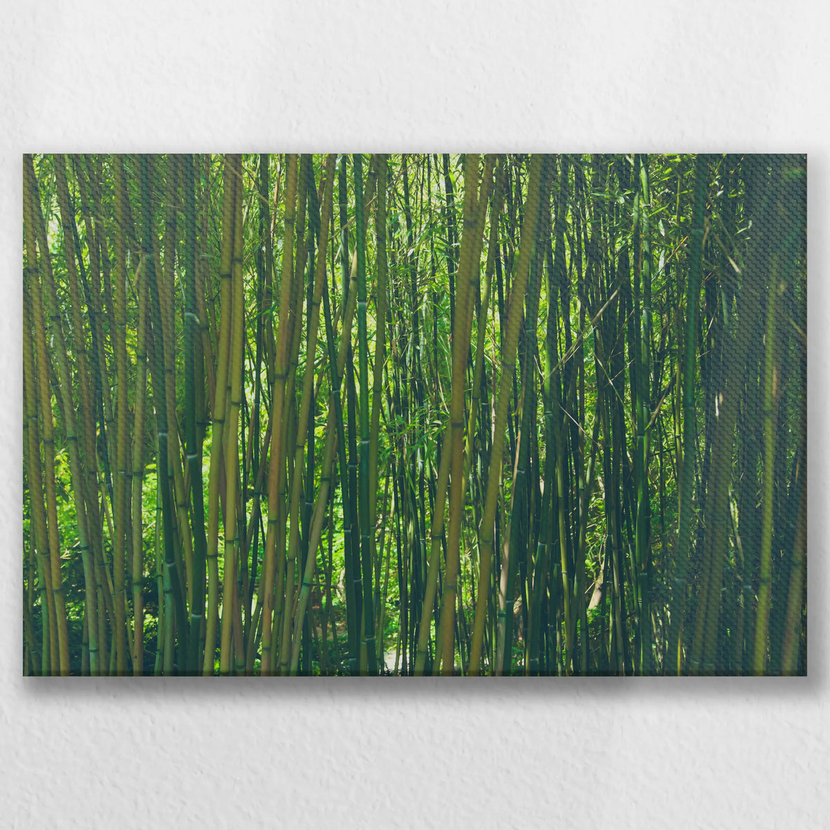 LW-045W030