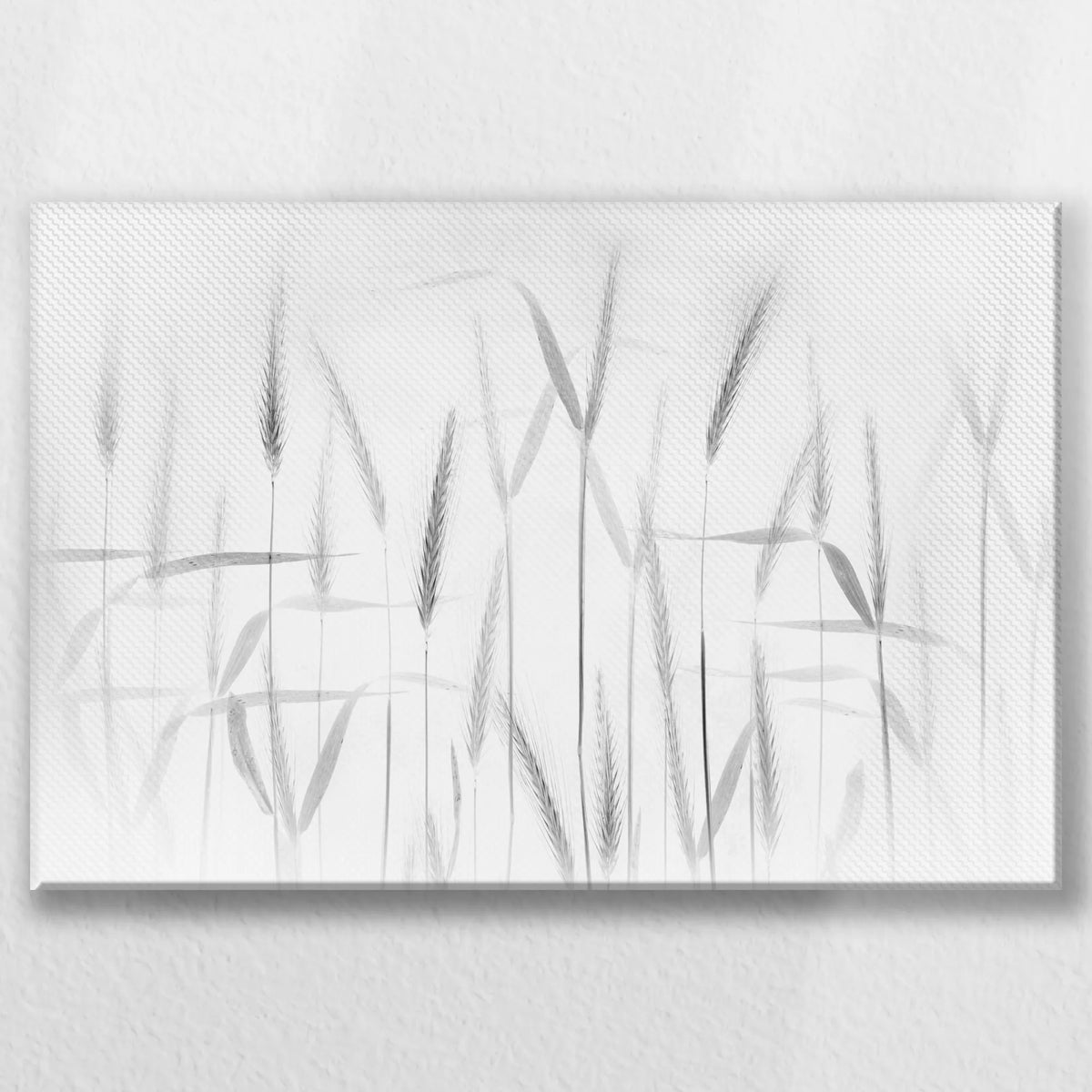 LW-045W030