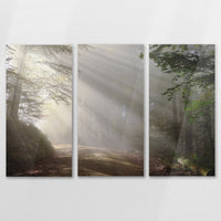 AC-120R080