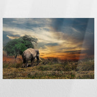 PO-045W030