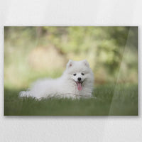 AC-045W030