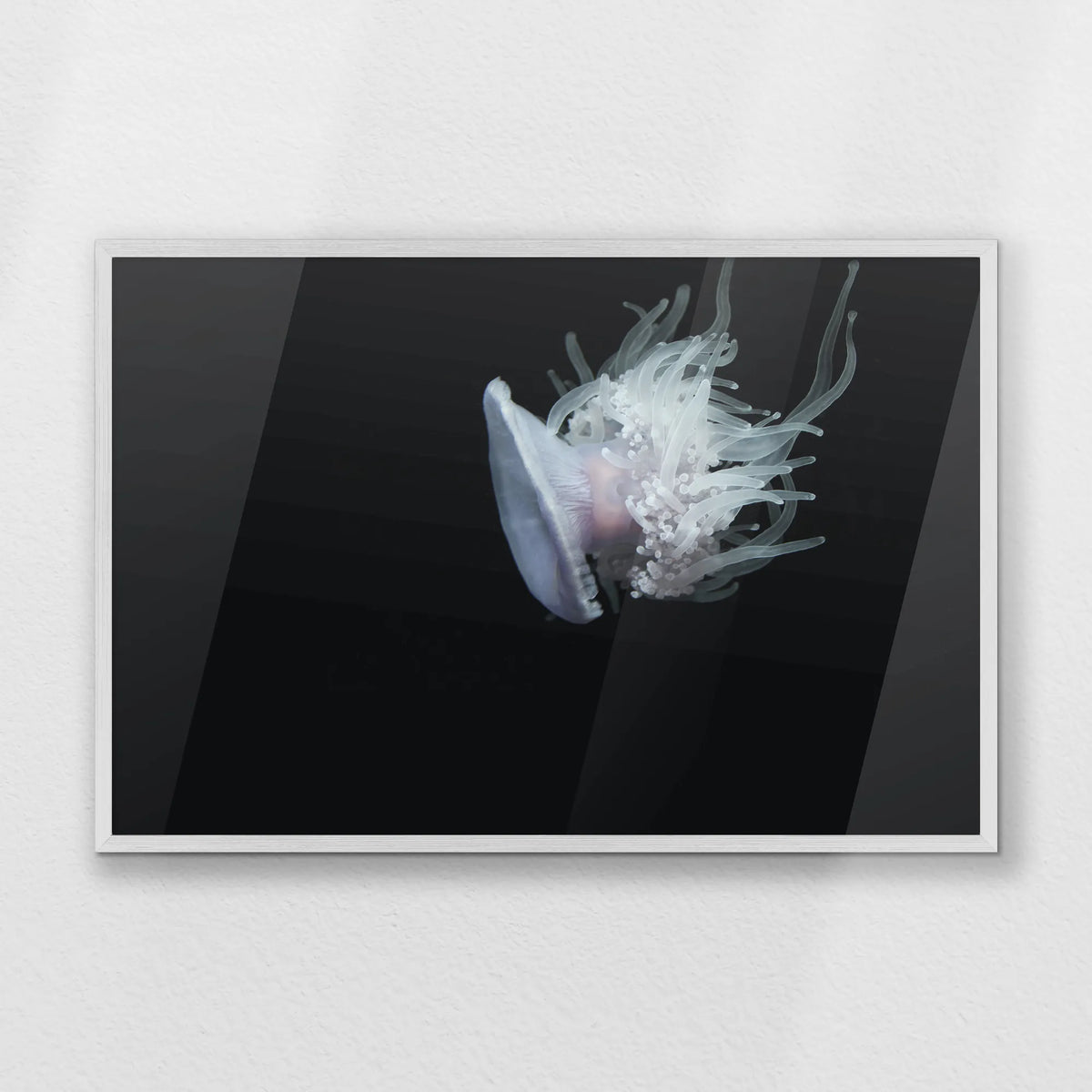 PW-093W062