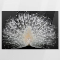 AC-075W050