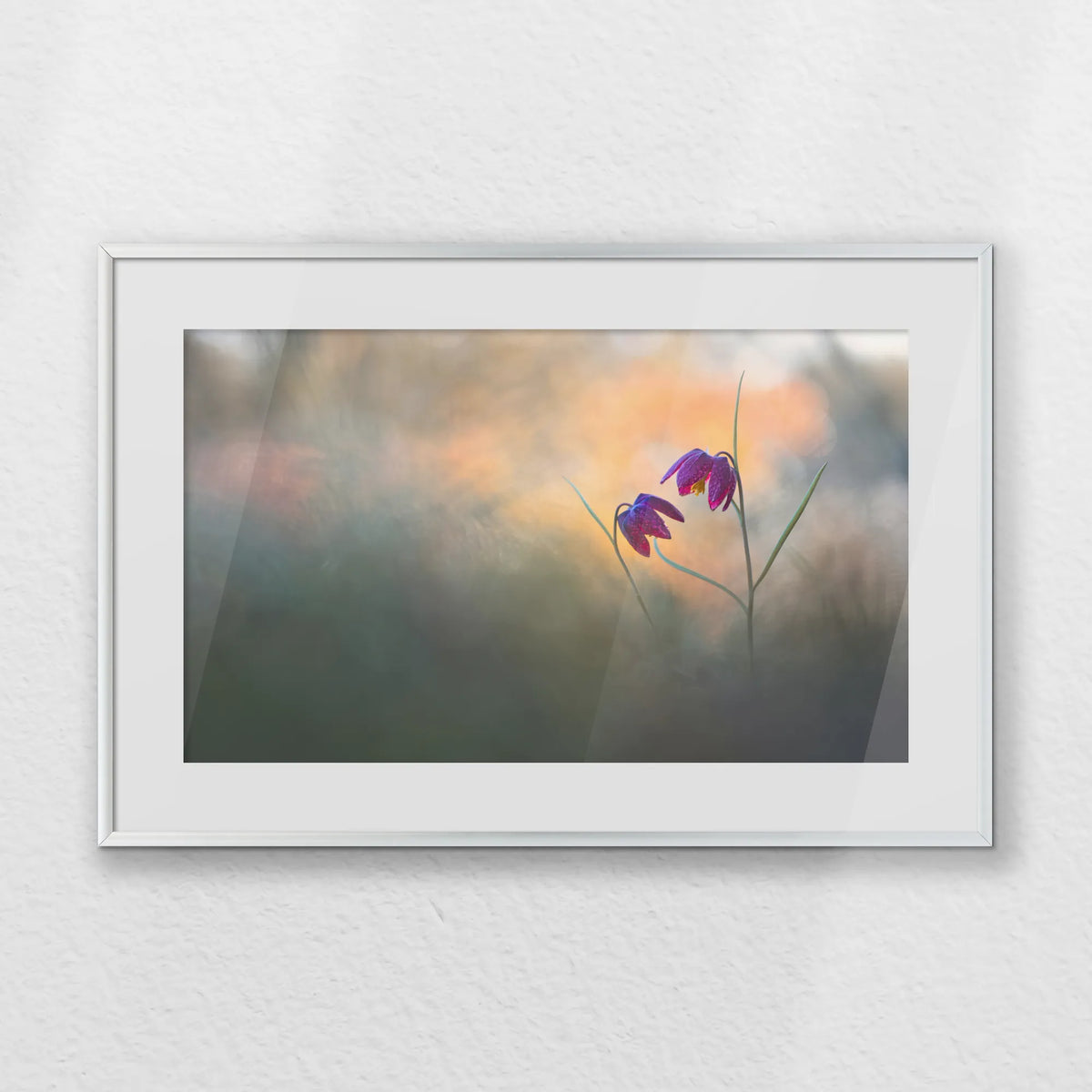 PSP060W040