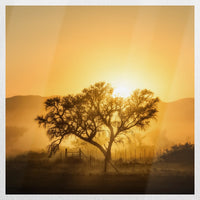 PO-030W030