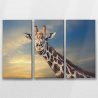 LW-090R060