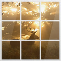 AL-240Z240