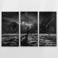 LW-150R100