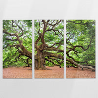 AC-210R140