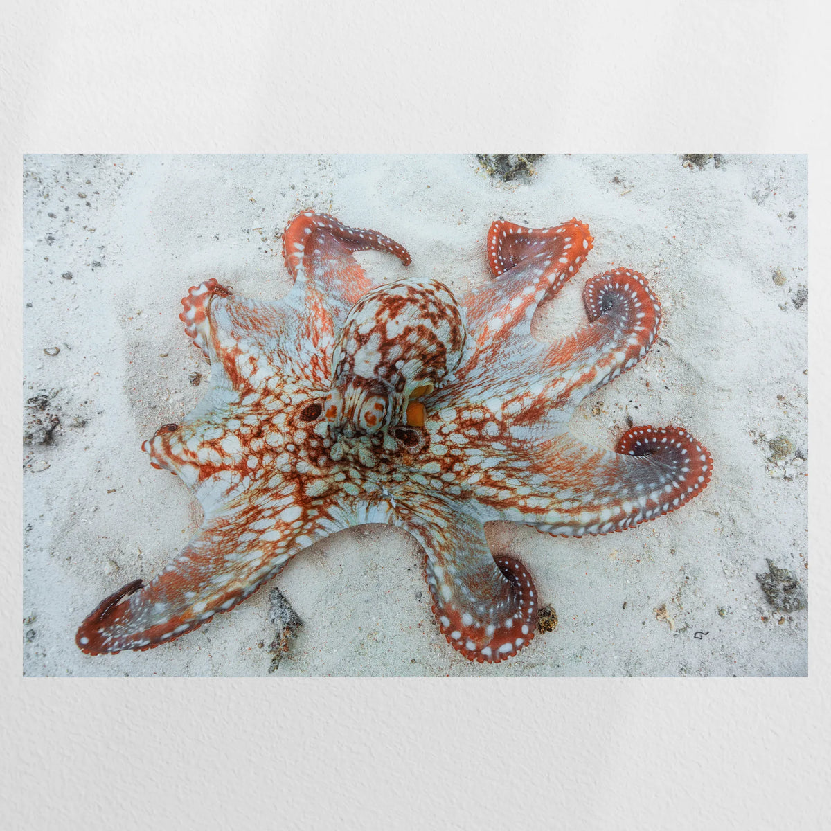 PO-090W060